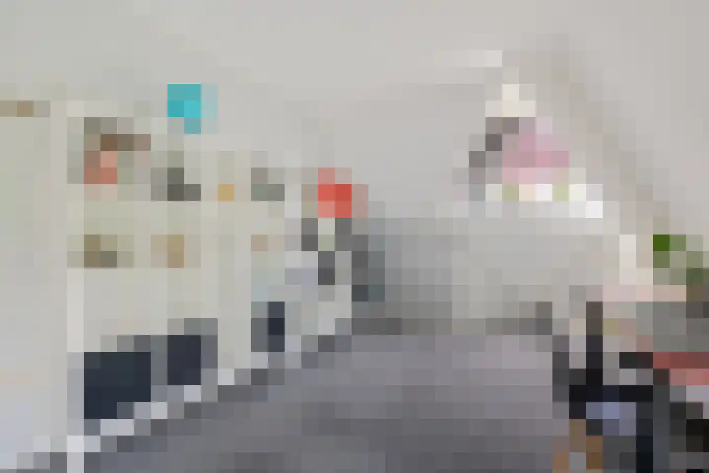 Fluitekruid 83 Klazienaveen thumbnail 29