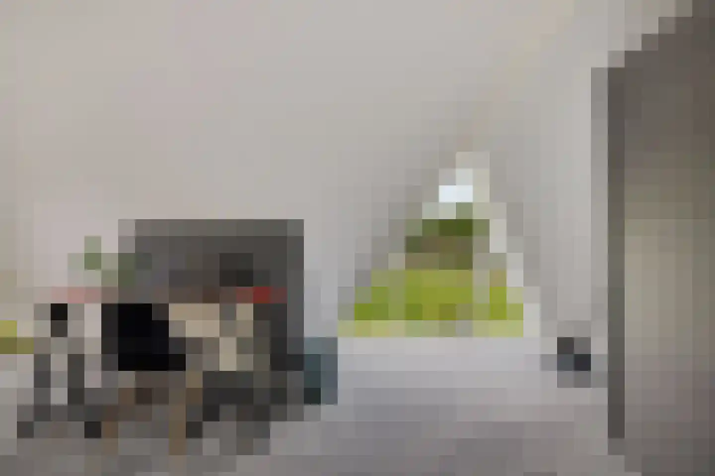 Fluitekruid 83 Klazienaveen thumbnail 29