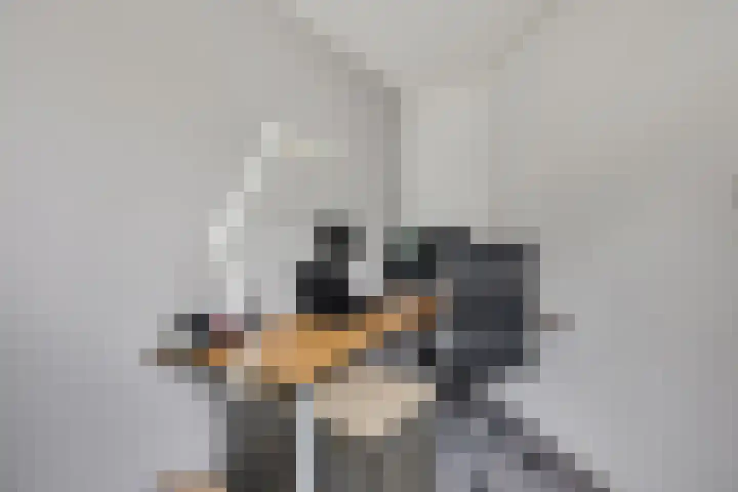 Fluitekruid 83 Klazienaveen thumbnail 30