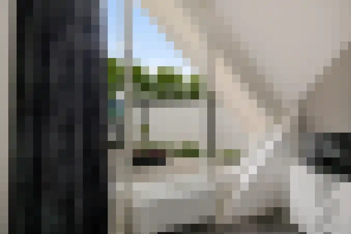 Fluitekruid 83 Klazienaveen thumbnail 31