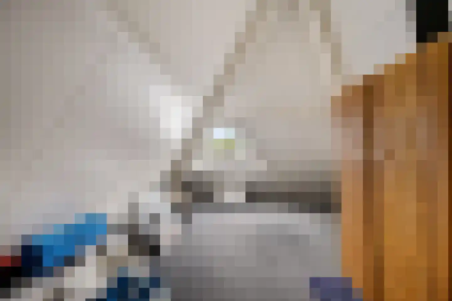 Fluitekruid 83 Klazienaveen thumbnail 32