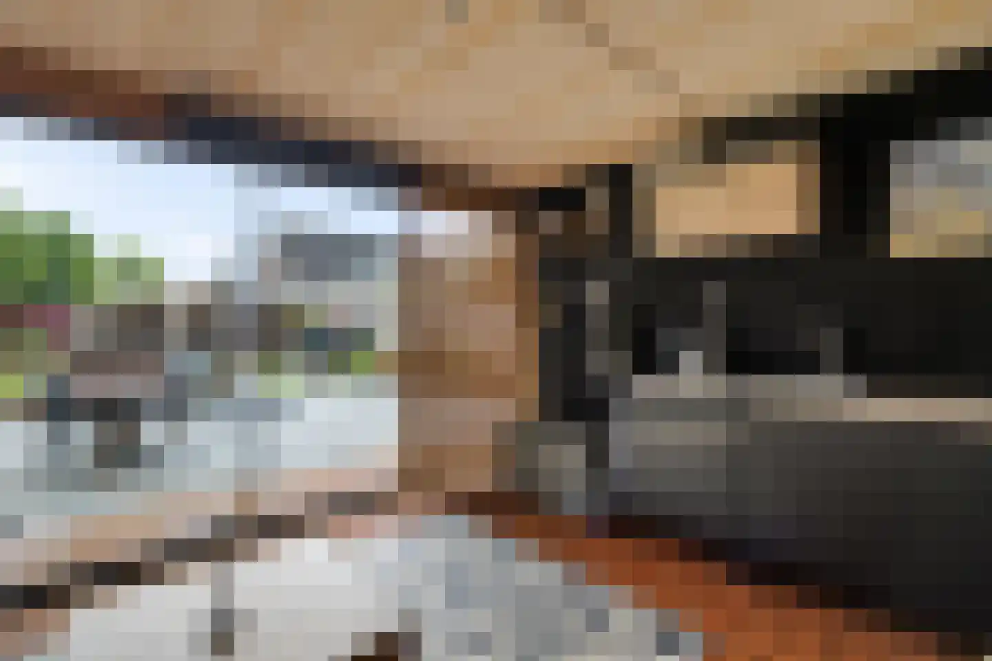 Fluitekruid 83 Klazienaveen thumbnail 34