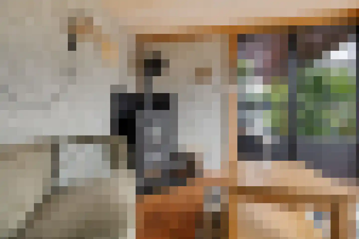 Fluitekruid 83 Klazienaveen thumbnail 35