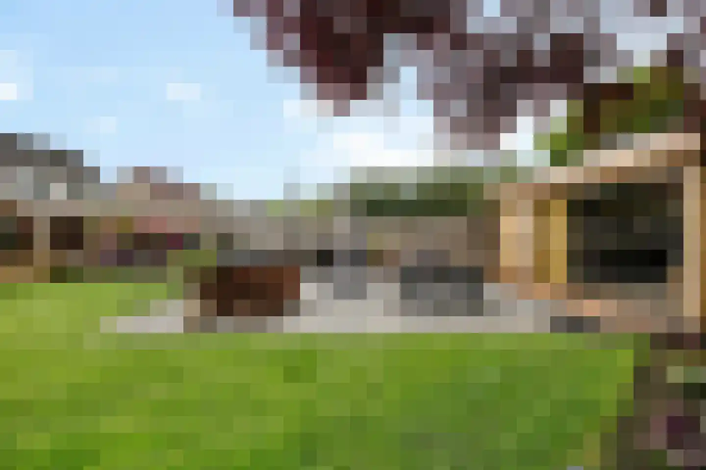Fluitekruid 83 Klazienaveen thumbnail 36