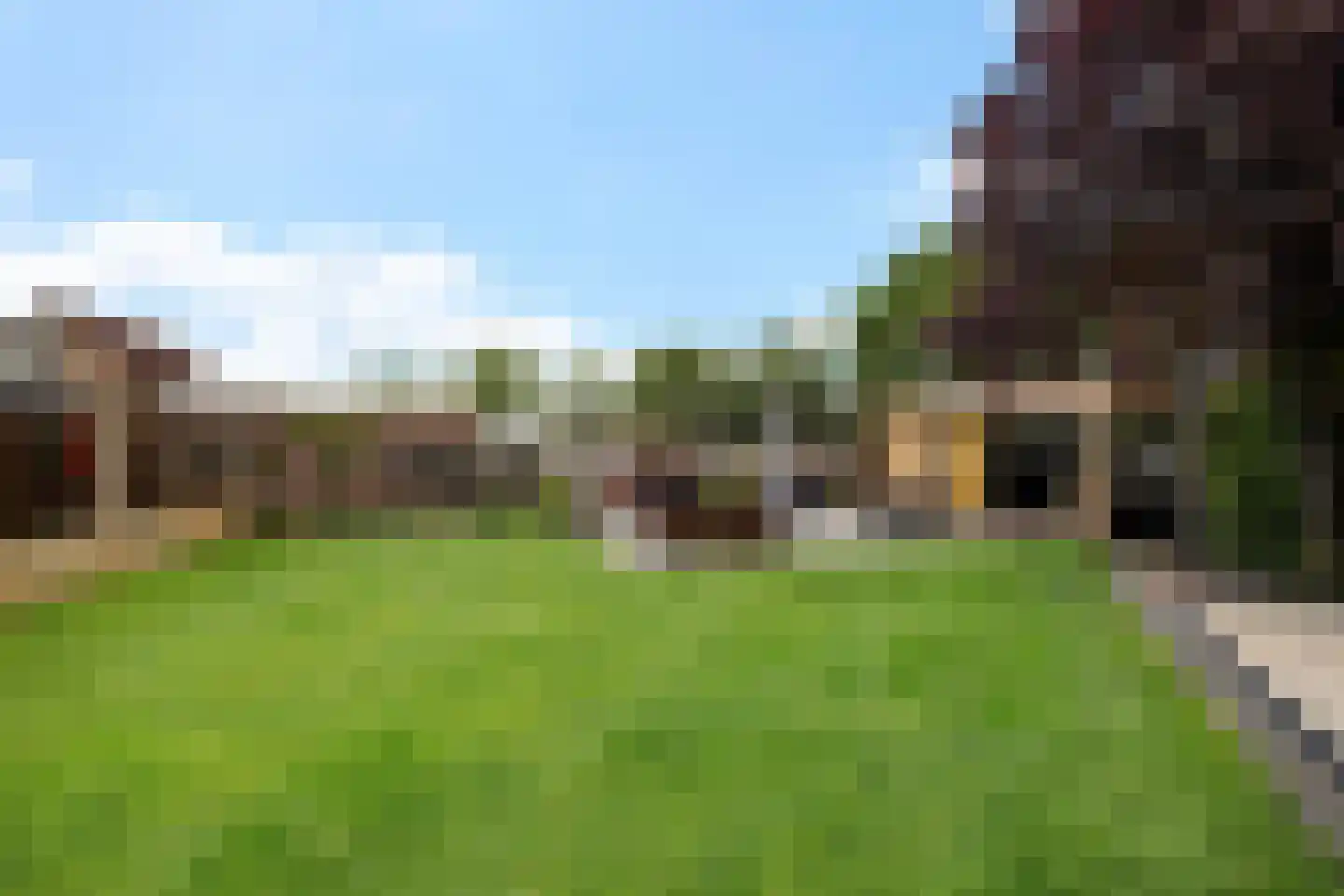 Fluitekruid 83 Klazienaveen thumbnail 37
