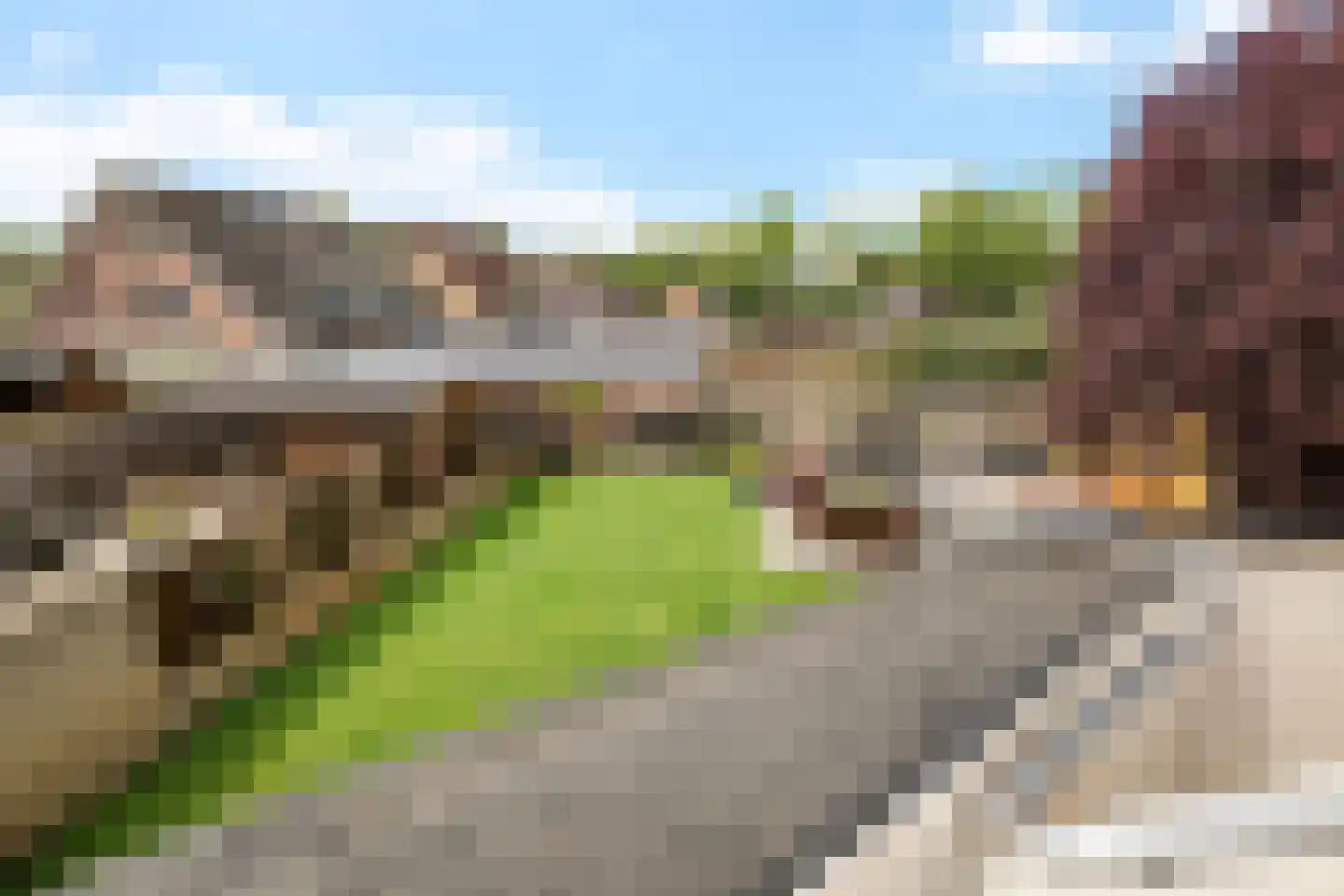 Fluitekruid 83 Klazienaveen thumbnail 39