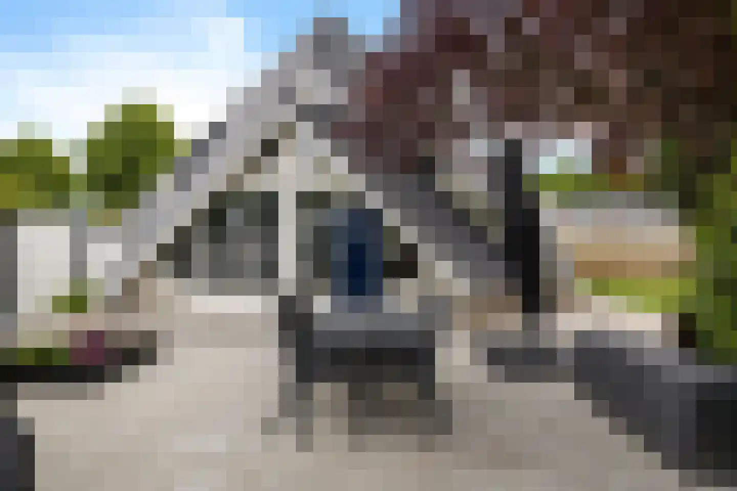 Fluitekruid 83 Klazienaveen thumbnail 40