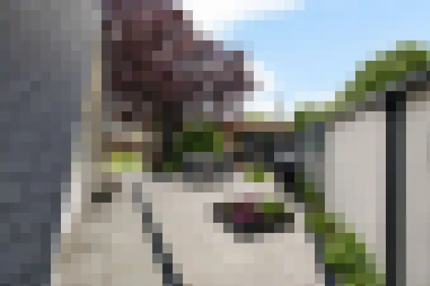 Fluitekruid 83 Klazienaveen thumbnail 41