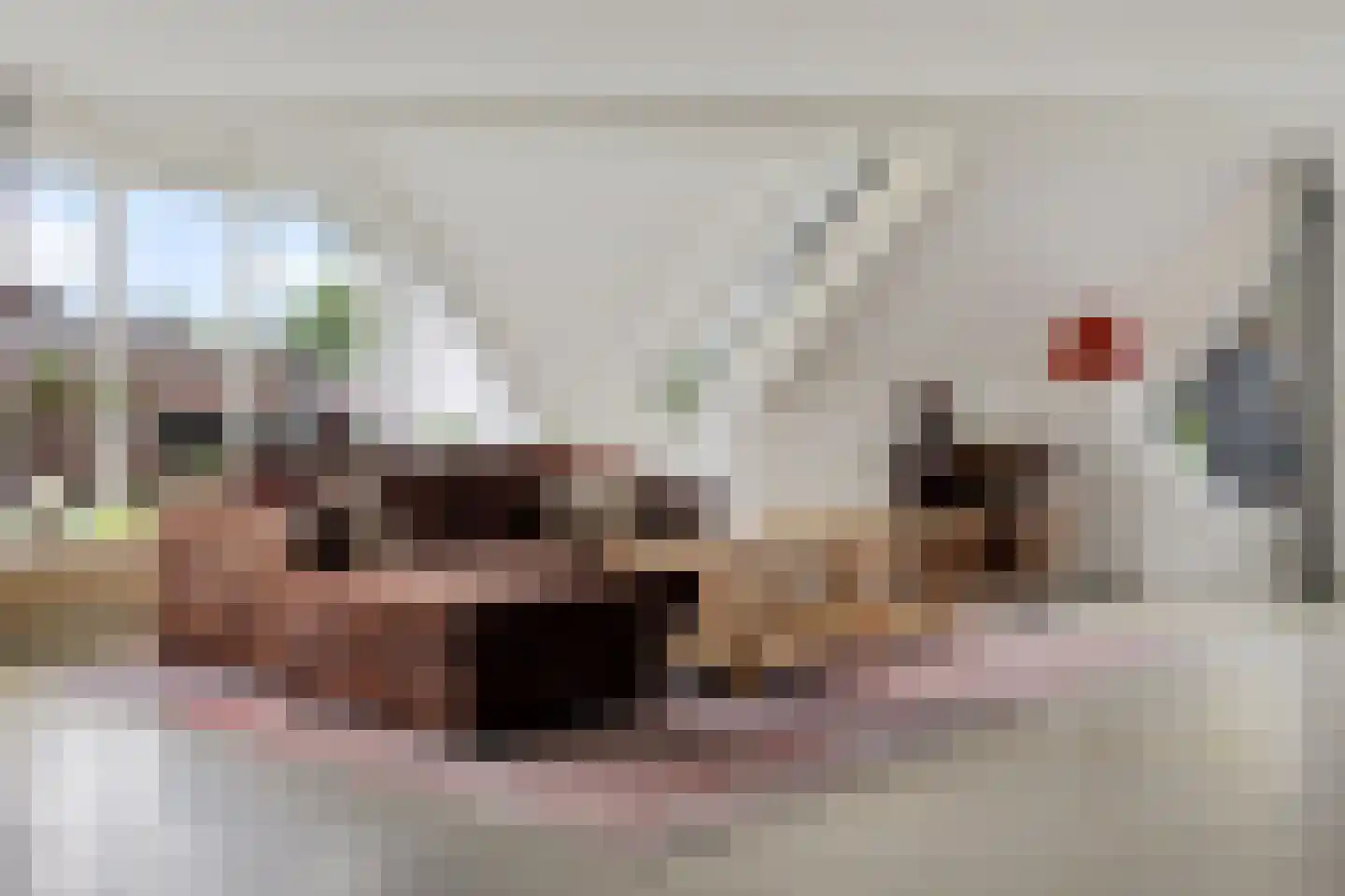 Fluitekruid 83 Klazienaveen thumbnail 5