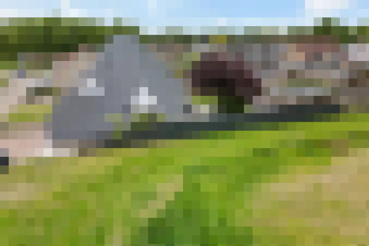 Fluitekruid 83 Klazienaveen thumbnail 50