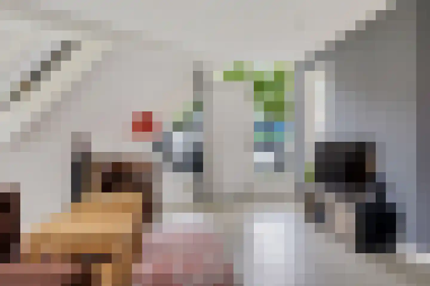 Fluitekruid 83 Klazienaveen thumbnail 8