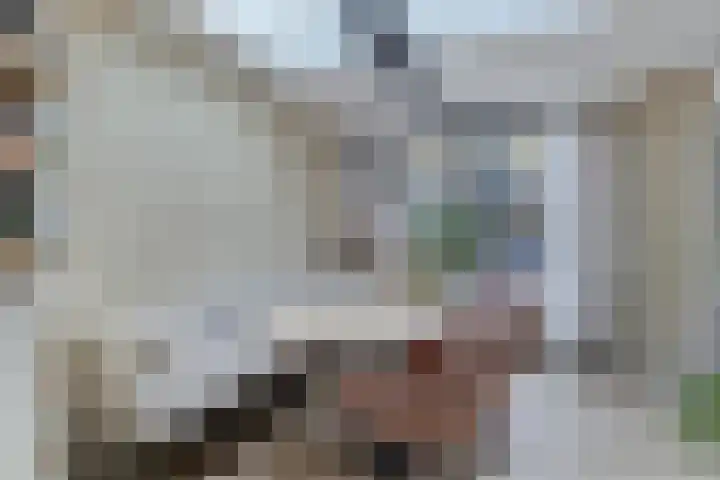 Fluitekruidbeemd 22 Valkenswaard thumbnail 10