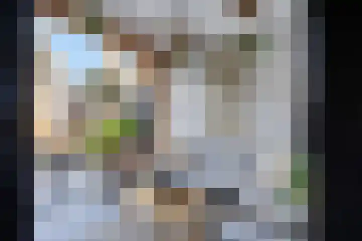 Fluitekruidbeemd 22 Valkenswaard thumbnail 26