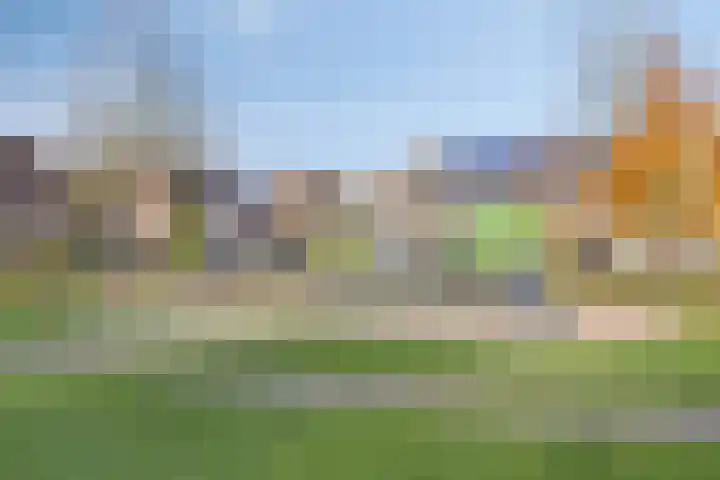 Fluitekruidbeemd 22 Valkenswaard thumbnail 28