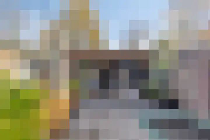 Fluitekruidbeemd 22 Valkenswaard thumbnail 4
