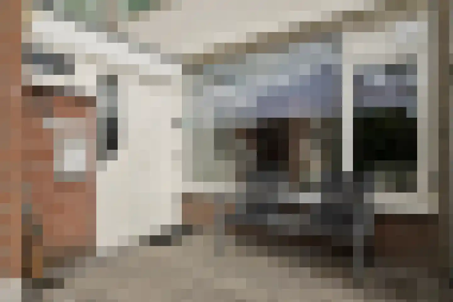 Fluitekruidlaan 28 Scherpenzeel thumbnail 17
