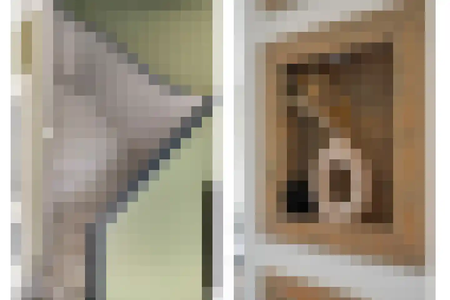 Fluitekruidlaan 28 Scherpenzeel thumbnail 19