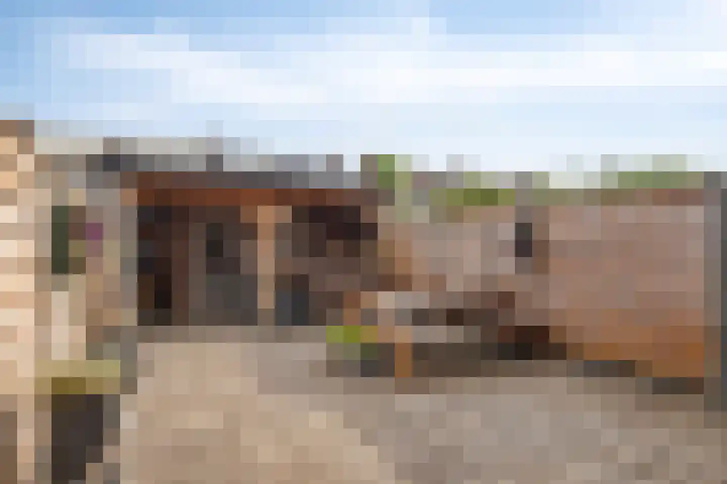 Fluitekruidlaan 28 Scherpenzeel foto 3