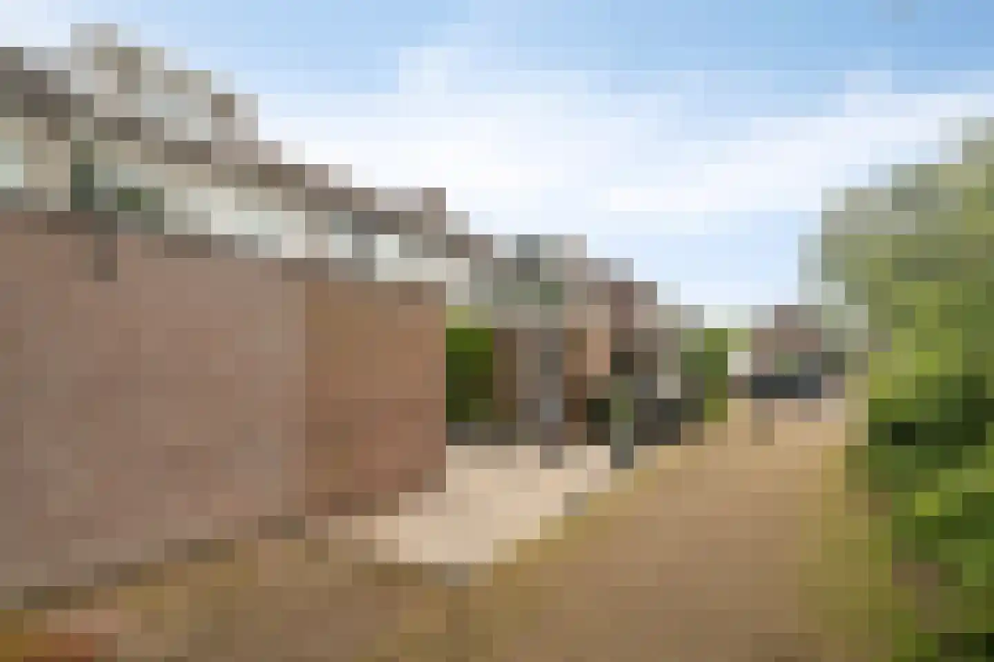 Fluitekruidlaan 28 Scherpenzeel thumbnail 40