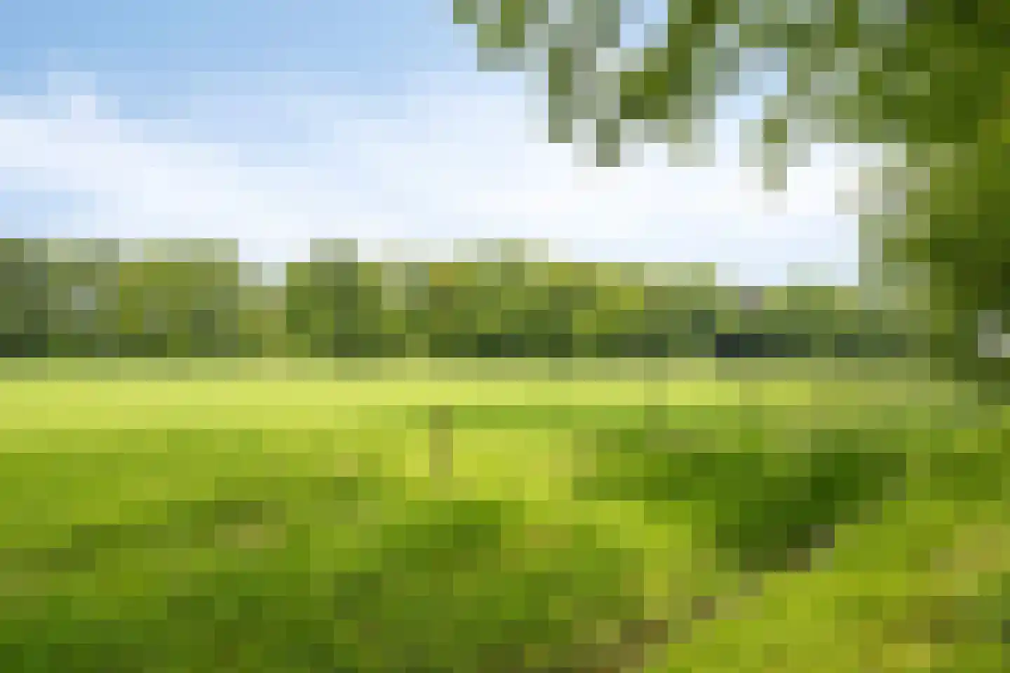 Fluitekruidlaan 28 Scherpenzeel thumbnail 42