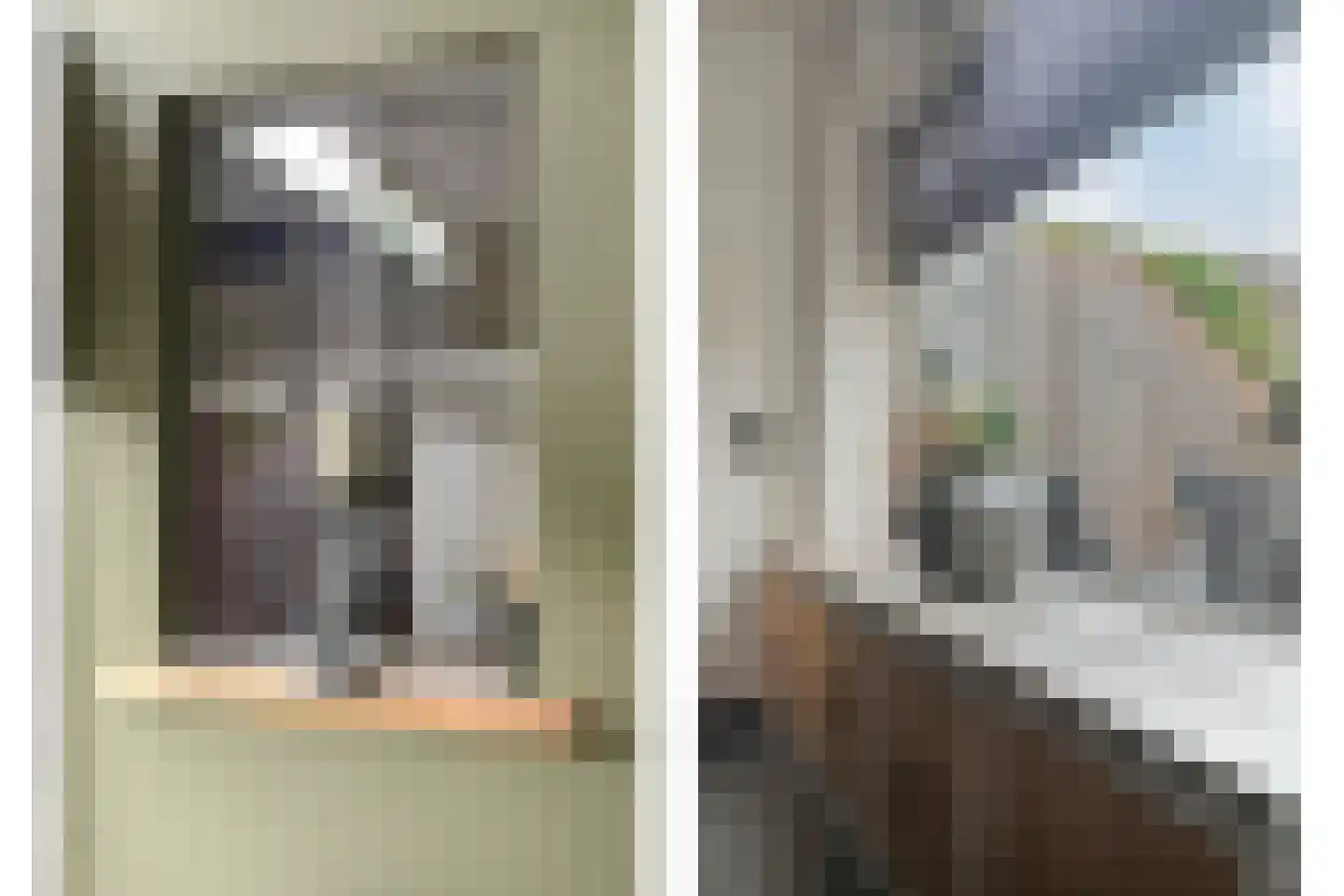 Fluitekruidlaan 28 Scherpenzeel thumbnail 8