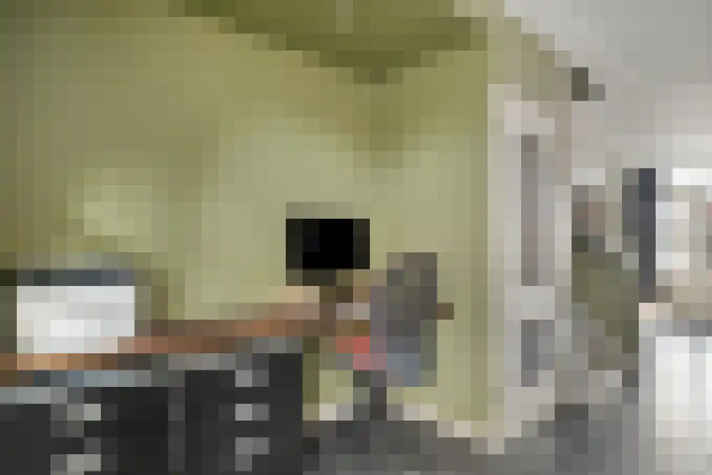 Fluitekruidlaan 28 Scherpenzeel thumbnail 9
