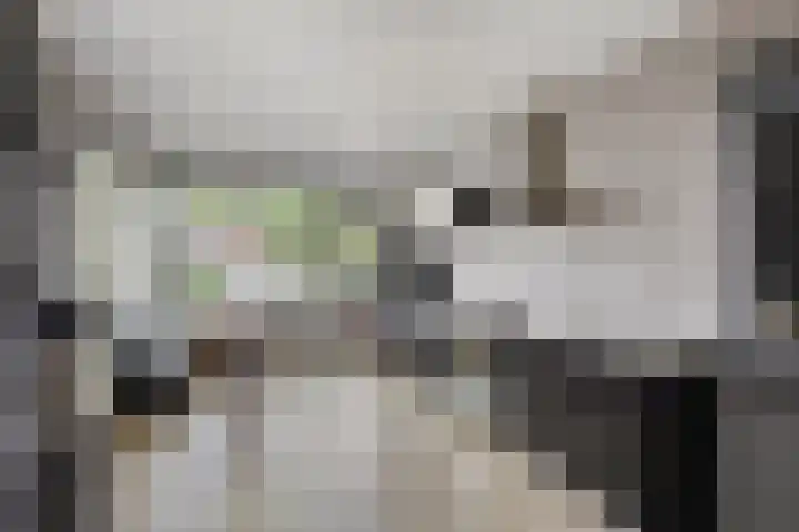 Fluitekruidlaan 31 Scherpenzeel thumbnail 10