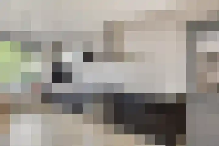 Fluitekruidlaan 31 Scherpenzeel thumbnail 11