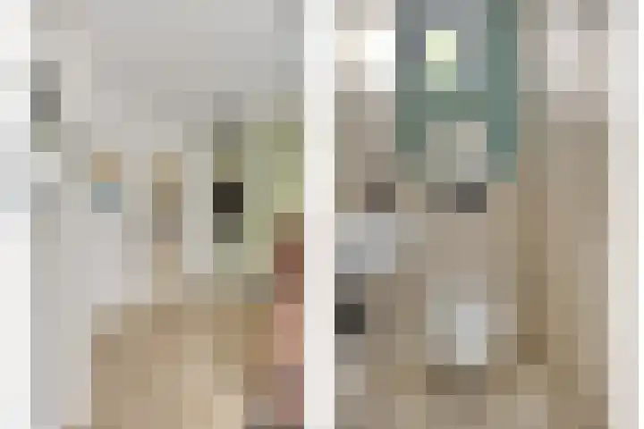 Fluitekruidlaan 31 Scherpenzeel thumbnail 12