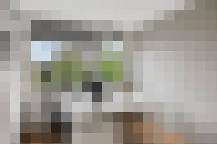 Fluitekruidlaan 31 Scherpenzeel thumbnail 20