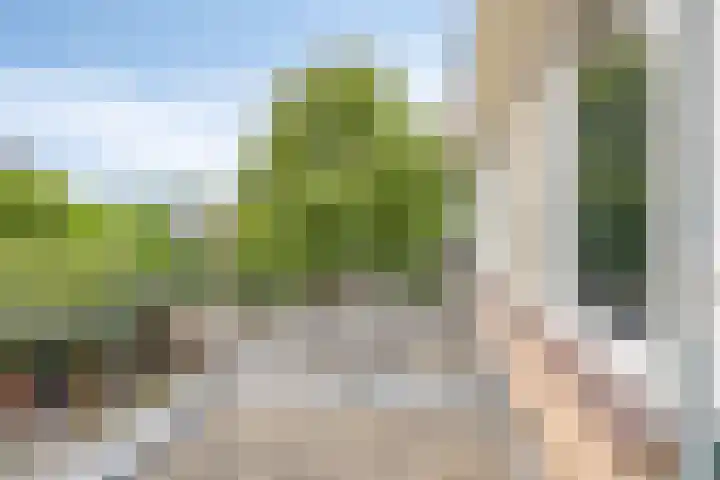 Fluitekruidlaan 31 Scherpenzeel thumbnail 22