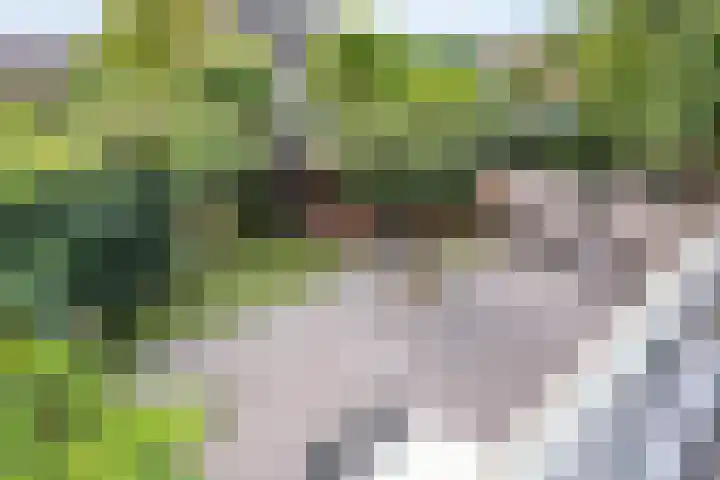 Fluitekruidlaan 31 Scherpenzeel thumbnail 24