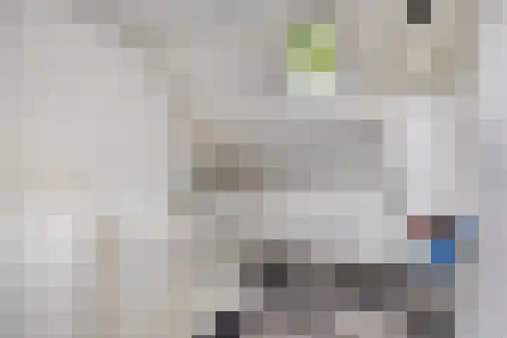 Fluitekruidlaan 31 Scherpenzeel thumbnail 25