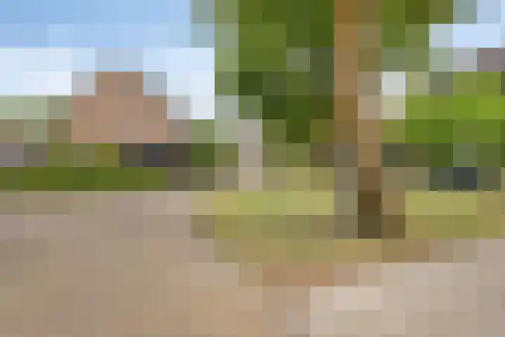Fluitekruidlaan 31 Scherpenzeel thumbnail 34