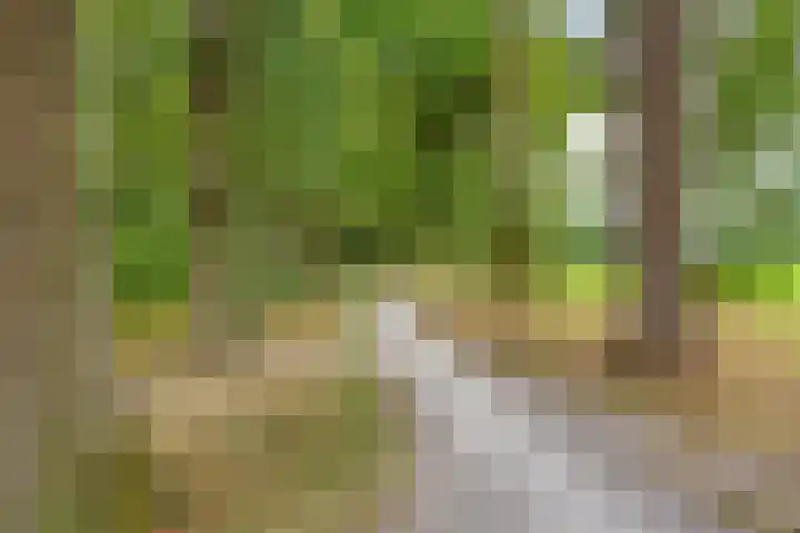 Fluitekruidlaan 31 Scherpenzeel thumbnail 37