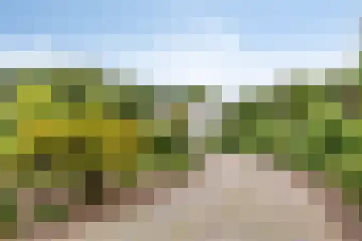 Fluitekruidlaan 31 Scherpenzeel thumbnail 38