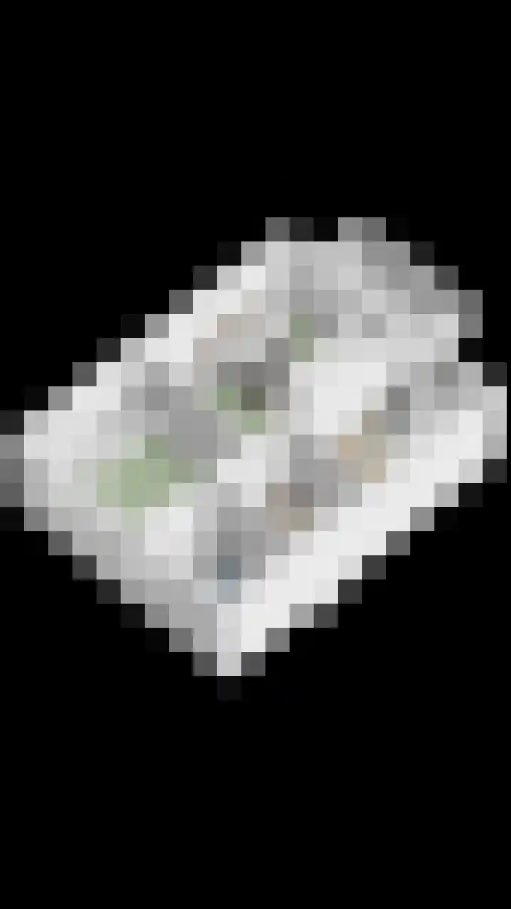 Fluitekruidlaan 31 Scherpenzeel thumbnail 45