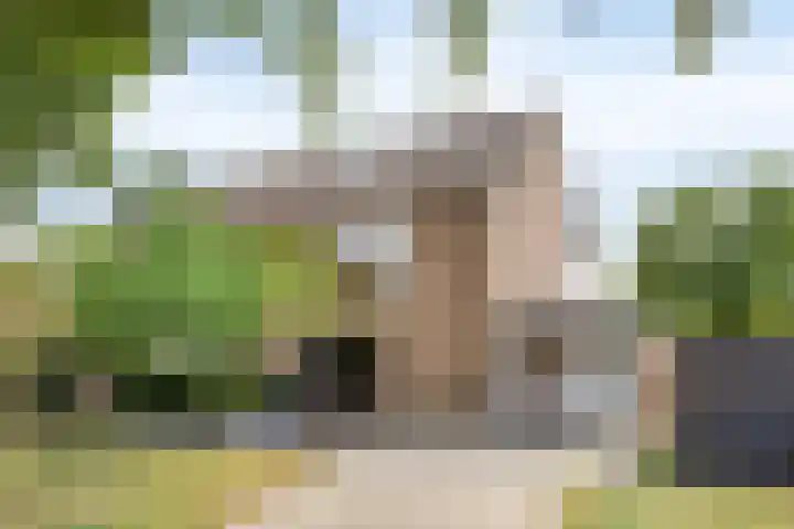 Fluitekruidlaan 31 Scherpenzeel thumbnail 49