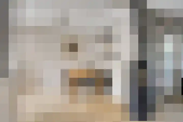 Fluitekruidlaan 31 Scherpenzeel thumbnail 9