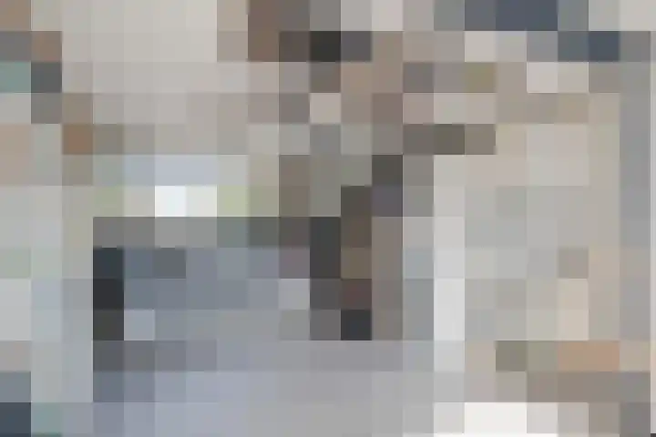 Fluitekruidlaan 54 Scherpenzeel thumbnail 25