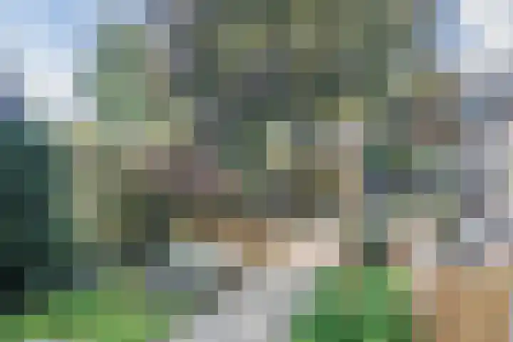 Fluitekruidlaan 54 Scherpenzeel thumbnail 28