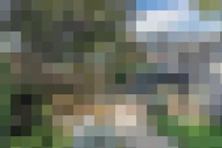 Fluitekruidlaan 54 Scherpenzeel thumbnail 29