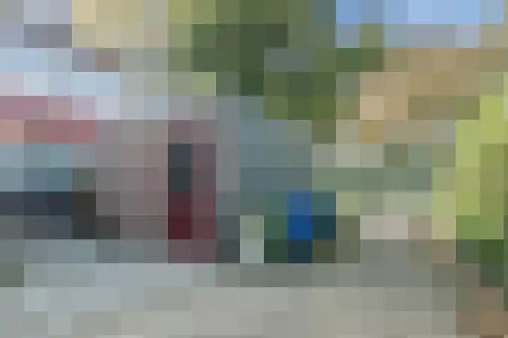 Fluitekruidlaan 54 Scherpenzeel foto 3