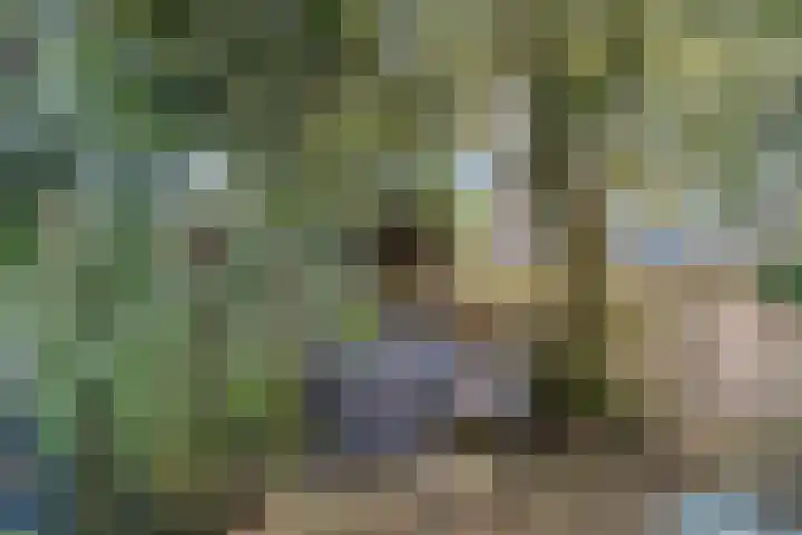 Fluitekruidlaan 54 Scherpenzeel thumbnail 31