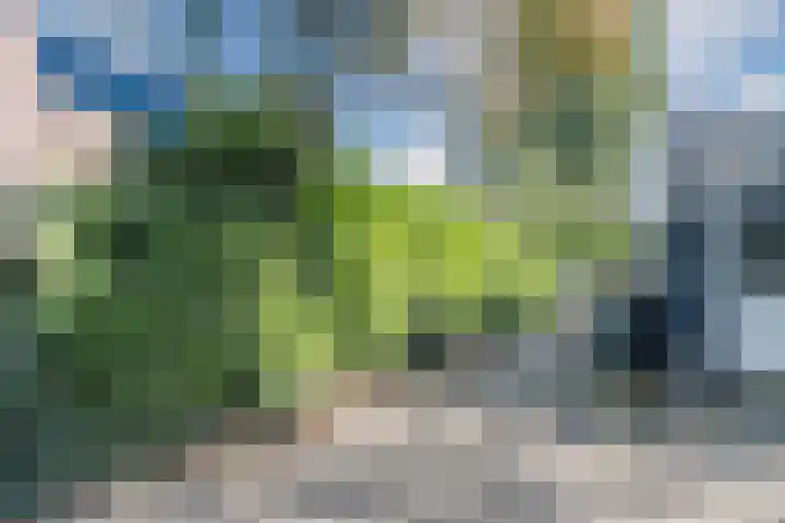 Fluitekruidlaan 54 Scherpenzeel thumbnail 34