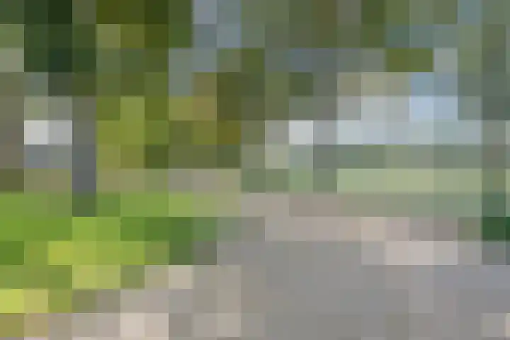 Fluitekruidlaan 54 Scherpenzeel thumbnail 35