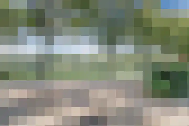 Fluitekruidlaan 54 Scherpenzeel thumbnail 36