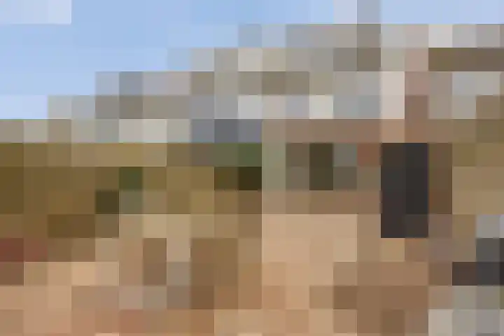 Fluitekruidlaan 78 Scherpenzeel thumbnail 28