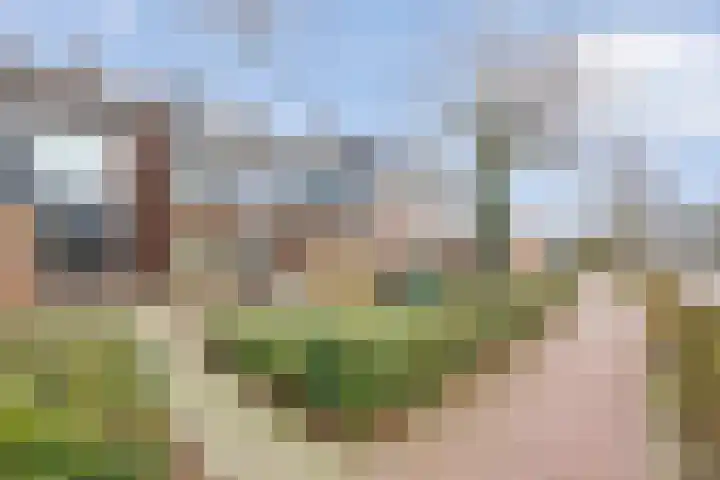 Fluitekruidlaan 78 Scherpenzeel thumbnail 31