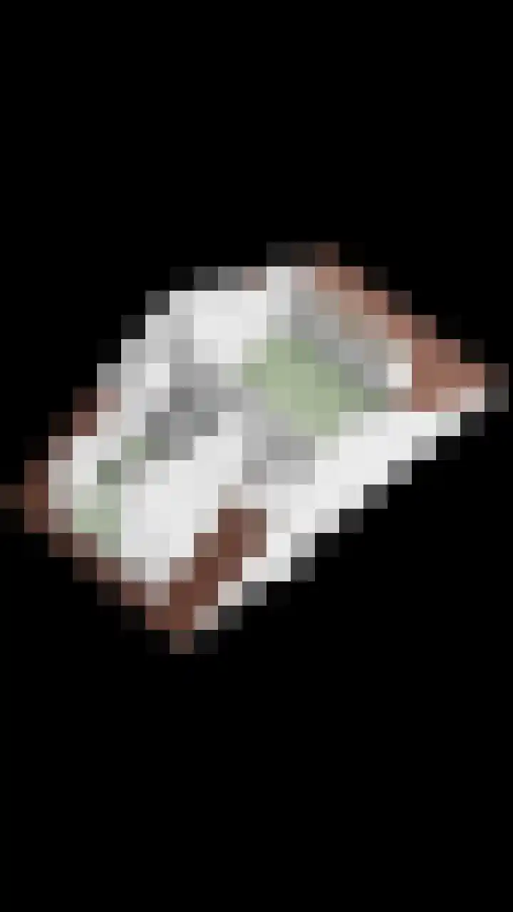 Fluitekruidlaan 78 Scherpenzeel thumbnail 41